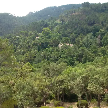 Domaine Pansu * Saint-Jean-de-l'Esterel